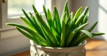 Como Plantar Cebolinha em Vaso e Ter Sempre à Mão