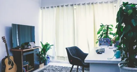 Plantas que deixam o jardim bonito o ano inteiro